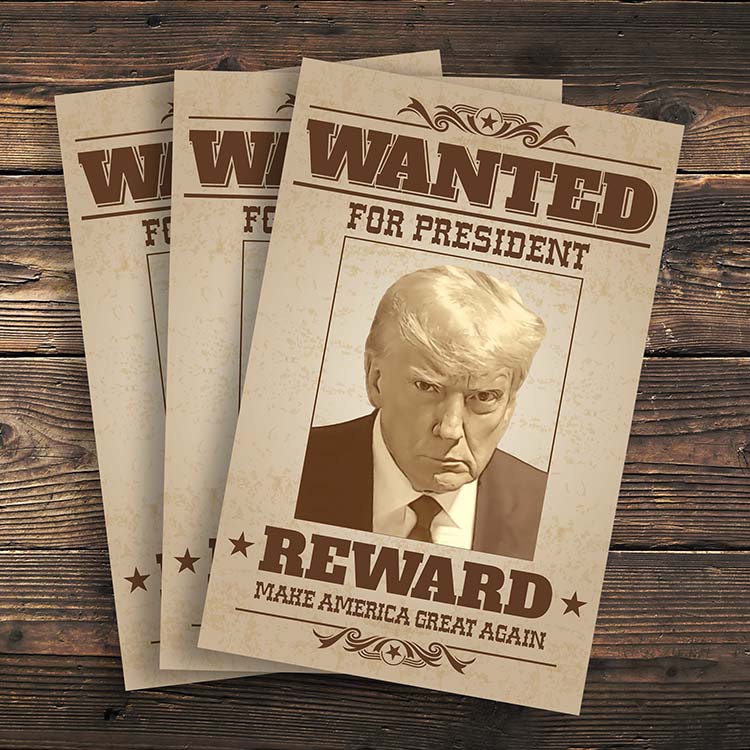 Trump Mug Shot "Wanted for President Poster" - PACK OF 3